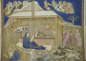 Giotto nativité