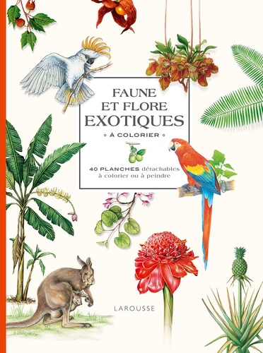 Faune et flore exotiques &agrave; colorier