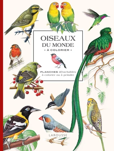 Oiseaux du monde à colorier