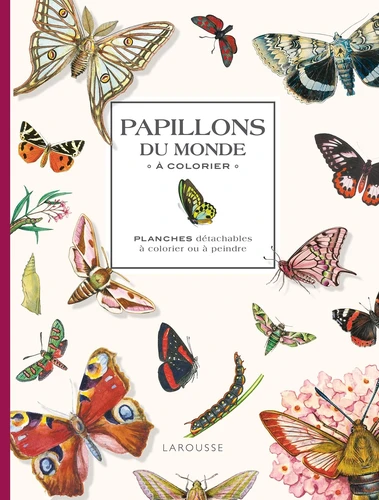 Papillons du monde à colorier